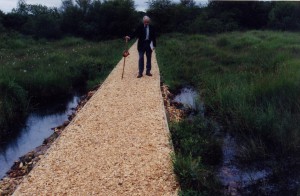 New Forest swamp path