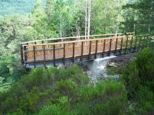 Plodda Falls